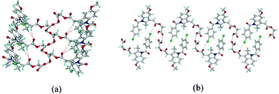 (a) O–H⋯O catemer chain propagating parallel to the b-axis (screw direction) in form I. (b) The C–Cl⋯O interactions (3.11 Å) together with O–H⋯O interactions make a sheet motif.