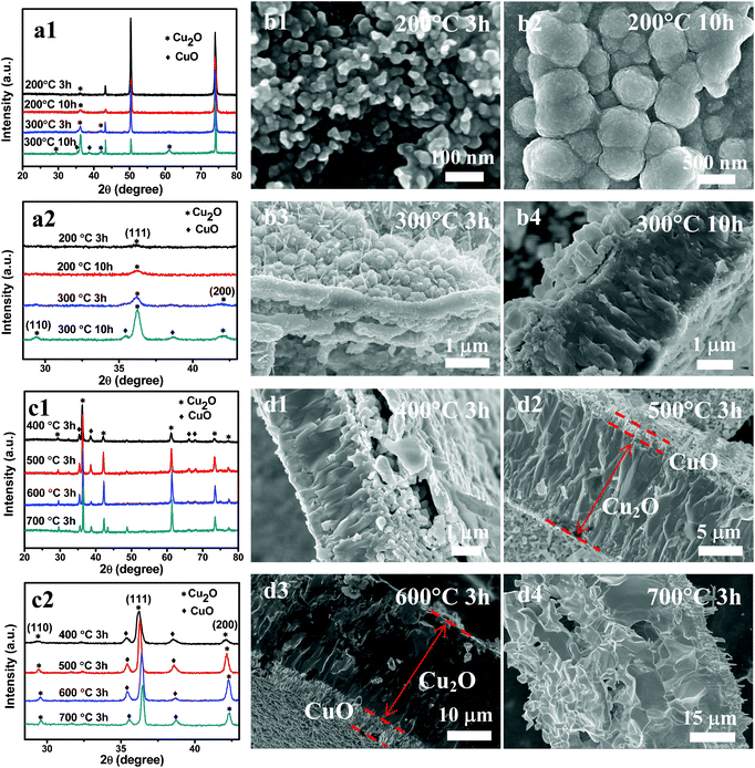 XRD patterns and SEM images of the samples synthesized at different temperatures and reaction times (indicated in the graphs). (a) Samples included both oxide layer and copper substrates. (c) Samples were only the oxide layer separated from the Cu foil. (b and d) Cross-sectional SEM images show the Cu2O and CuO layers.