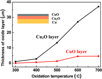 Thickness of oxide layers upon different oxidation temperatures. Inset shows Cu/Cu2O/CuO tri-layered structure. The reaction time was set as 3 h.