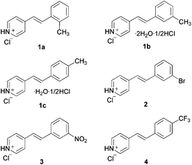 Substituted styrylpyridinium hydrochlorides.