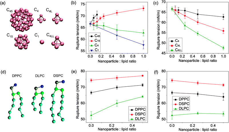 (a) Coarse grained model of C45, C15, C4, C1, C4L and C4LL nanoparticles. (b) Rupture tension of lipid bilayers containing C45, C15, C4 and C1 nanoparticles as a function of nanoparticle concentration. Larger nanoparticles C45 and C15 strengthen the bilayer, causing higher rupture tension than the pure lipid bilayer. Smaller nanoparticles C4 and C1 weaken the bilayer. (c) Rupture tension of lipid bilayers containing C4, C4L and C4LL nanoparticles as a function of nanoparticle concentration. The weakening effect of nanoparticles was enhanced with the increasing size of nanoparticles. (d) Coarse grained model of lipid DPPC, DSPC and DLPC different in lipid tail length. (e) Rupture tension of nanoparticle C15 embedded DPPC, DSPC and DLPC bilayer. The strengthening effect of the C15 nanoparticle increased in bilayer with shorter lipid tail length. (f) Rupture tension of nanoparticle C4 embedded DPPC, DSPC and DLPC bilayer. The C4 nanoparticle weaken the long tail length lipid bilayer, however, strengthen the short tail length lipid bilayer. The error bars indicate the spread of values obtained from multiple independent simulations.