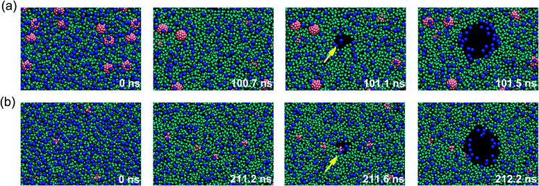 Mechanism of pore formation in a lipid bilayer composed of 1 : 32 nanoparticle–lipid under high mechanical stress. Mechanical stretch was applied to a tension free lipid bilayer (0 ns), then the bilayer is largely expanded and becomes unstable. Rupture pore formation occurs when the surface tension higher than the rupture tension. (a) A hydrophobic pore was formed in the particle-free region in the bilayer in the presence of large nanoparticles. (b) A hydrophobic pore was formed in the position of a small nanoparticle (211.6 ns). The hydrophobic pore rapidly transformed into a hydrophilic pore and irreversibly expanded. The nanoparticles were shown in red, the lipid head groups in blue, and lipid tails in cyan. The water is not shown for clarity. The simulation time is indicated in each snapshot.