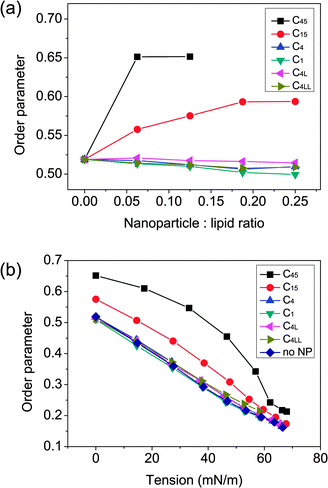 (a) Average order parameter of the lipid tails as a function of nanoparticle concentration. (b) Average order parameter of the lipid tails as a function of applied surface tension. The perturbation of membrane structural properties could not be ignored.