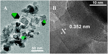 TEM images representative of the TiO2 P25 sample: panels A and B; original magnifications: ×80, ×500, respectively.