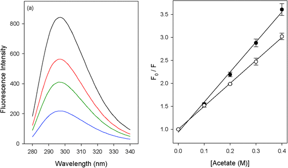 (a) The quenching of phenol fluorescence by acetate ions (0 M, 0.1 M, 0.2 M and 0.4 M); (b) Stern–Volmer plots for the quenching of phenol fluorescence by acetate in 0 M (full circles) and 8 M (open circles) urea.