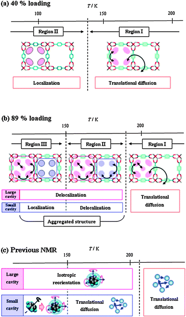 Schematic representation of dynamic behaviour of benzene in IRMOF-1 at 40% loading (a) and 89% loading (b) given by MD simulation, and by our previous NMR study (c).