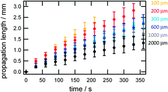 Proton wave propagation length in microchannels with different widths ranging from 100 μm (yellow) to 2000 μm (black).