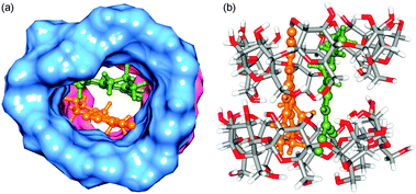 Optimized structures of γ-CD : DCVJ (2 : 2) complex. Two cyclodextrins are shown in both surface (blue and pink colors) and stick representations. The rest is the same as that of Fig. 7.