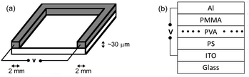 (a) A short-circuit device fabricated by painting a U-shaped silver paste (grey) on top of a glass cover slip and single Atto647N molecules are deposited at the center of the device, and (b) an open-circuit device where the thicknesses of the polystyrene PS, polyvinyl alcohol PVA, poly(methyl methacrylate) PMMA and Al layers are 450, 30, 55 and 100 nm, respectively. Single Atto647N molecules are embedded in the PVA matrix (˙ = Atto647N molecule). The width and thickness of the Ag electrode are 2 mm and ∼30 μm, respectively.