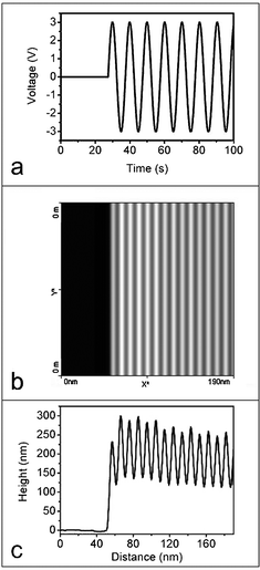 (a) Sinusoidal external potential ranging from +3 V to −3 V (at 0.1 Hz) is applied to a short-circuit device at ∼27 s after the start of the AFM scan. (b) AFM image of a single scan (100 s) across 190 nm of the glass substrate and (c) corresponding height profile which correlates with the applied potential. During the application of a sinusoidal potential bias, the grey strips in (b) correspond to a lower height and occur at zero current (at 0 V) whereas the white strips correspond to a higher height and occur at maximum EC (at +3 V/−3 V).