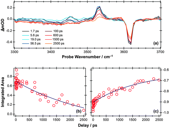 (a) TVA spectra in the range 3300–3700 cm−1 measured at different Δt following 267 nm photoexcitation of an 8 mM solution of PhOH in cyclohexane flowed through a 360 μm Harrick cell. Numerical integration over portions of these spectra enables extraction of kinetic traces monitoring (b) decay of the PhOH(S1) population and (c) recovery of the PhOH(S0) population (monitored at 3530 cm−1 and 3620 cm−1, respectively). The solid blue lines are least-squares fits of the data to single exponential functions and intended as a visual guide.