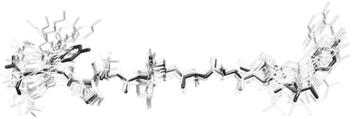 Ensemble of ssNMR structures of YTIAALLSPYS amyloid fibril strands from Jaroniec et al.40 The highlighted model corresponds to the least energy structure from ssNMR with the tyrosine rings oriented according to the polarised Raman data obtained in this work.