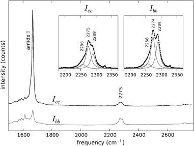 Polarised Raman spectra of Y1d4-YTIAALLSPYS in the spectral region 1500–2800 cm−1. Black trace: Icc. Grey trace: Ibb. The spectra are offset vertically for convenience. The C–D stretch vibrations appear at ∼2275 cm−1, with a higher intensity in the Ibb spectrum. Insets: C–D stretching bands at both polarisations and sub-band decomposition and fitting with Lorentzian curves.