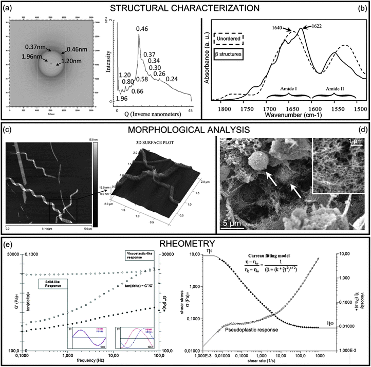 Structural characterization of nanomaterials: (a) X-ray diffraction pattern with a typical β-sheet main ring (4.6 Å distance) and its radial integrated diffraction pattern distance; (b) FT-IR spectra in the region of amide I, used for monitoring the assembling kinetics and the presence of recurring β-structures (peak at 1622 cm−1).44 (c) Morphological analysis of nanostructured scaffolds: 2D AFM image and 3D zoom plot (enlarged boxed field) of twisted ribbons of BMHP1-derived SAP. (d) SEM image of neural stem cells (arrows) embedded in a 3-D self-assembled scaffold. Inset: high-magnified field of the nanostructured scaffold. (e) Rheological characterization of a hydrogel scaffold (left): oscillatory frequency sweep test of an assembled hydrogel, G′, G′′ and tan δ are represented. Insets: in phase solid-like and out of phase viscoelastic-like responses of the tested scaffold at low and high frequencies respectively. Pre-assembling gel solution (right): graphical correlation of viscosity and shear stress as a function of the shear rate: a mathematical fitting model used for the extrapolation of η0 and η∞ is shown.