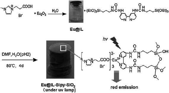 Illustration of the procedure used to obtain the transparent and luminescent ionogel. Reprinted with permission from ref. 176. Copyright 2010, Royal Society of Chemistry Publishing Company.