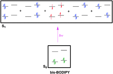 Excitation of bisBODIPY systems like 26 gives singlet excited states (blue electrons), but a triplet state (red) is also favored.