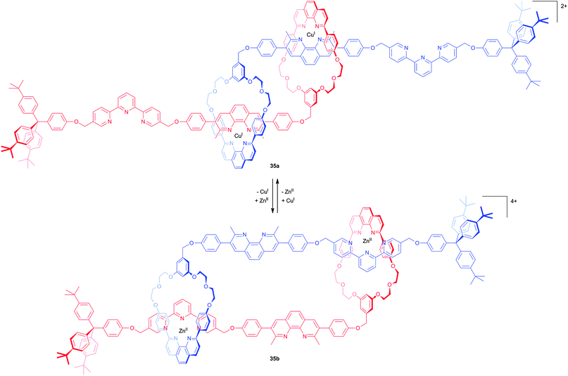 The first [c2]daisy chain motif acting as unimolecular muscle triggered by the exchange of the coordinating ion.26