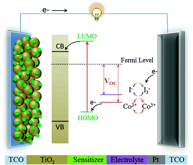 Schematic representation of the composition and the operating principle of a DSSC.