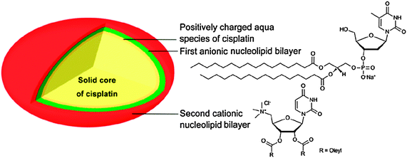 Schematic diagram of a nucleotide-lipid-based nanoparticulate DTD system for cisplatin.