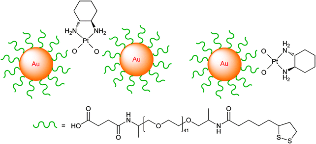 The linking mode of thiolate-PEG-Au nanoparticles with the oxaliplatin fragment.