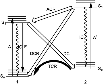 Reaction routes for the interconversion 1 ⇄ 2 on the singlet energy hypersurfaces. DC: diabatic cycloisomerization, DCR: diabatic cycloreversion, ACR: adiabatic cycloreversion, TCR: thermal cycloreversion; A,A′: absorptions, F: fluorescence (fluorescence of 2 is rather exceptional), IC: internal conversion.