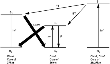 Optical switching (OSW) and its amplification by energy transfer (ET) in the systems 26k–n/27k–n with photoreactive cores and light-harvesting dendrons (ν < ν′ ≤ ν′′).