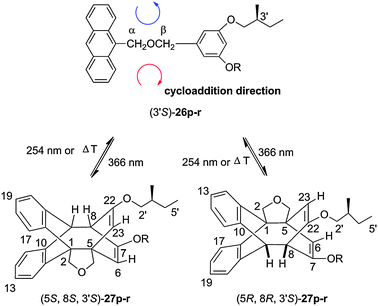 Photocycloisomerization, photocleavage and thermal cycloreversion 26p–r ⇆ 27p–r (the thermal cycloreversion was performed at 60 °C).