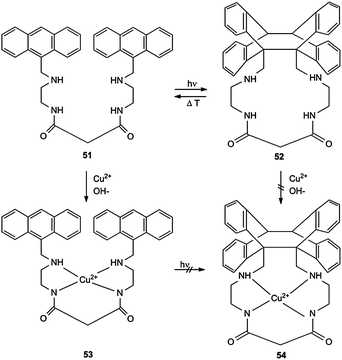 Influence of the complexations on the formation and the cleavage of the intramolecular anthracene–anthracene cycloadducts.