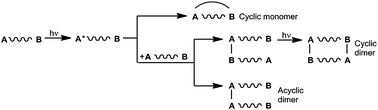 Intra- and intermolecular photocycloadditions of bichromophoric anthracene (A)–benzene (B) systems.