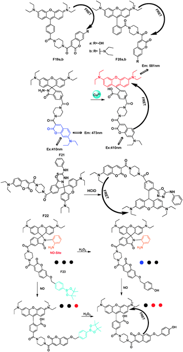 Rhodamine–coumarin FRET platforms F19–F23 and their applications.