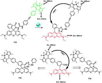 FRET cassettes F24–26 based on BODIPY and rhodamine fluorophores for detecting Hg2+.