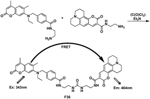 FRET chemosensor F36.