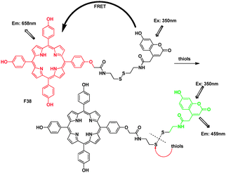 FRET chemosensor F38 for thiols.