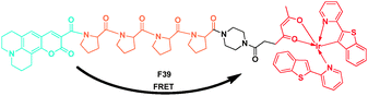 FRET probe F39 for monitoring oxygen levels.