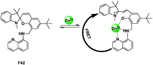 FRET chemosensor F42 for Zn2+ detection.