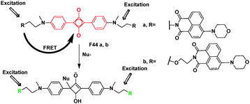 FRET chemosensor F44 for detection of F− and CN−.