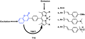 Fluorescent probe series of T15a–d based on TBET.