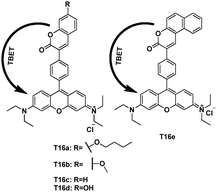 TBET cassettes T16, and T16e as pH probe.