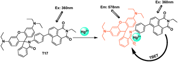 TBET chemosensor T17 for detection of Hg2+.