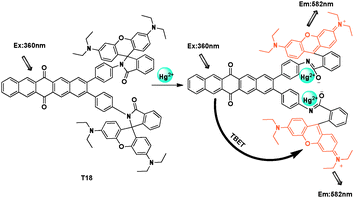 TBET chemosensor T18 for Hg2+ detection.