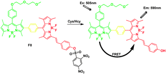 FRET chemosensor F8 for detection of thiol.