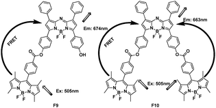 FRET systems F9 and F10 based on BODIPY.