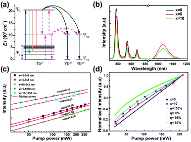 (a) Schematic partial energy-level diagram of the Tb3+–Yb3+ couple, showing the ET mechanism of NIR quantum-cutting under the excitation of the 7F6 → 5D4 (Tb3+) transition. Black solid lines show the second-order nonlinear quantum-cutting process, whereas the red dotted lines show the linear downconversion process where a virtual energy level located at the middle position (around 10 000 cm−1) between the ground state and the 5D4 energy level of Tb3+ participates in the quantum-cutting process. (b) Emission spectra of NaYF4:Tb3+/Yb3+ (1/x mol%, x = 0, 5, and 10) phosphors under 473 nm laser excitation. (c) Double logarithmic plot of Tb3+ and Yb3+ emission intensity versus pump power of the 473 nm laser for NaYF4:Tb3+/Yb3+ (1/x mol%, x = 0, 5, and 10) phosphors. (d) Experimental and simulated power dependence curves of Yb3+ luminescence for NaYF4:Tb3+/Yb3+ (1/x mol%, x = 0, 5, and 10) phosphors. (Reprinted with permission from ref. 249. Copyright 2012, Optical Society of America.)