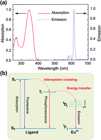 (a) Normalized absorption (solid line) and emission spectra (dashed line) of Eu(TTA)3(TTPO)2 where TTA and TTPO stand for thenoyl trifluoroacetone and triphenyl phosphine oxide, respectively. (b) Schematic diagram showing the ET process from the organic ligand to Eu3+ in organometallic compounds of europium. (Reprinted with permission from ref. 410. Copyright 2011, Elsevier Ltd.)