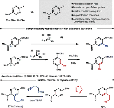 Controlling the dienophiles' regioselectivity with tetrazines.