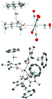 ORTEP diagrams of 43 (top) and 47 (bottom).