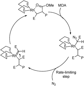 Proposed mechanism for the Rh-mediated polymerisation of polar functionalised carbenes, proceeding via a migratory insertion pathway (P = growing polymer chain, E = COOMe).