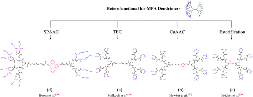 Third generation [G3] HFD scaffolds based on bis-MPA and with exterior block dual functionalities, (a) HFD(e)-G3-(hydroxyl)8-b-G3-(acetonide)4; (b) HFD(e)-G3-(hydroxyl)8-b-G3-(acetonide)4, HFD(e)-G3-(hydroxyl)8-b-G3-(acetonide); (c) HFD(e)-G3-(acetylene)8-b-G2-(acetylene-TMS)4 based on the nomenclature proposed by Walter and Malkoch for HFDs.17