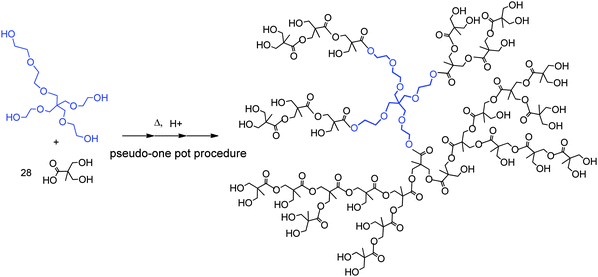 Idealized structure of one isomer of a pseudo-third generation [G3] hyperbranched polyester based on bis-MPA and PP50. The synthesis is conducted using 3 addition of bis-MPA, each corresponding to the theoretical amount of the corresponding dendrimer.