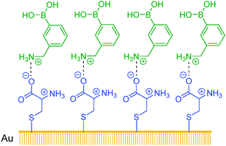 Boronic acid-containing SAB reported by Sun and co-workers.72